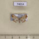 74014p Noctuidae Hypenagonia brachypalpia Thailand $12