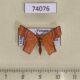 74076p Geometridae Chrysocraspeda sp. Vietnam $18