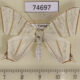 74697p Geometridae Ourapteryx yerburii Vietnam $10