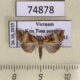 74878p Noctuidae sp. Vietnam $9