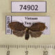 74902p Arctiidae Macaduma tortricella Vietnam $10