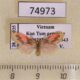 74973p Arctiidae Miltochrista sp. Vietnam $12
