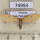 74993p Arctiidae Miltochrista calamaria Vietnam $9