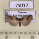 75017p Arctiidae Eugoa muluana Vietnam $9