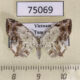 75069p Uraniidae Dysaethria nigrifrons Vietnam $9