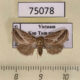 75078p Noctuidae sp. f Vietnam $7