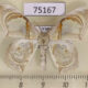 75167p Drepanidae Macrauzata submontana Vietnam $25