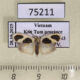 75211p Arctiidae Garudinia biplagiata Vietnam $10