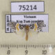 75214p Arctiidae Barsine auriflucta Vietnam $12