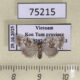 75215p Noctuidae Nola peguense f Vietnam $12