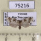 75216p Arctiidae Siccia obscura Vietnam $12