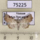75225p Noctuidae Prolophota trigonifera Vietnam $14