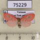 75229p Arctiidae Miltochrista aberrans f Vietnam $10