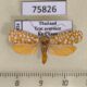 75826p Attevidae Atteva wallengreni f Thailand $10