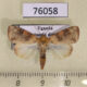 76058p Noctuidae Maurilia arcuata Uganda $9