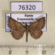 76320p Noctuidae Phytometra viridaria Krasnoyarsk reg. $8