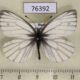 76392p Pieridae Pieris euorientis Khakassia rep. $6