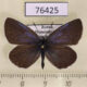 76425p Lycaenidae Plebeius subsolanus Primorye $6