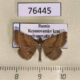 76445p Noctuidae Phytometra viridaria Krasnoyarsk reg. $8