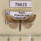 76615p Noctuidae Iragaodes nobilis Primorye $8