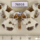 76916p Geometridae Eulithis fabiolaria f Primorye $10