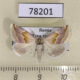 78201p Noctuidae Eublemma rosea Tyva rep. $7